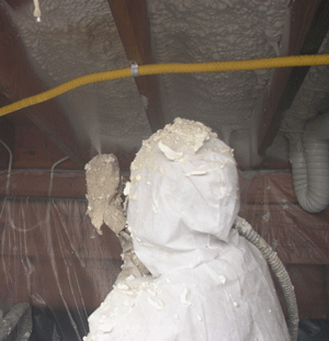 Charleston  crawl space insulation