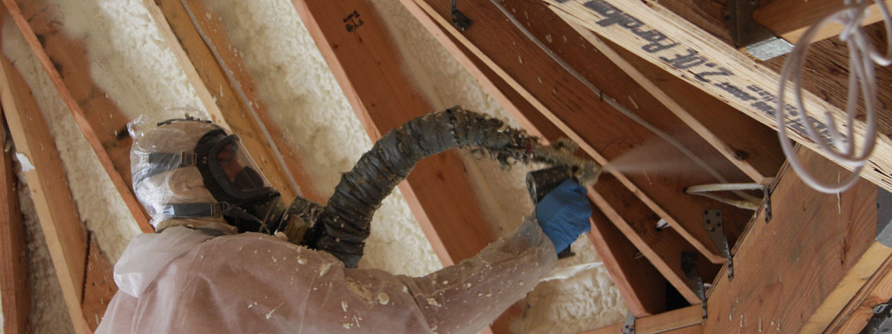 Charleston  Attic Insulation Spray Foam